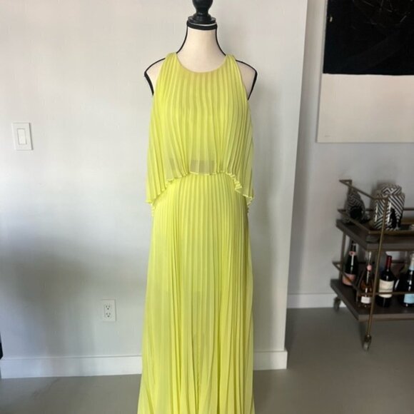 Bcbgmaxazria Shaina Sleeveless Pleated Gown - Picture 7 of 14